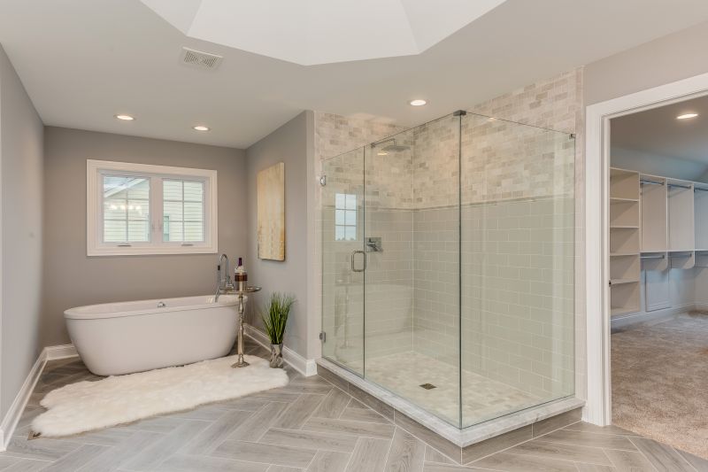 Elegant Tub and Shower Combo